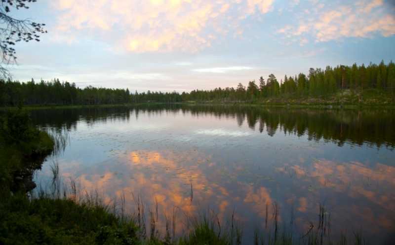 łowienie w skandynawii